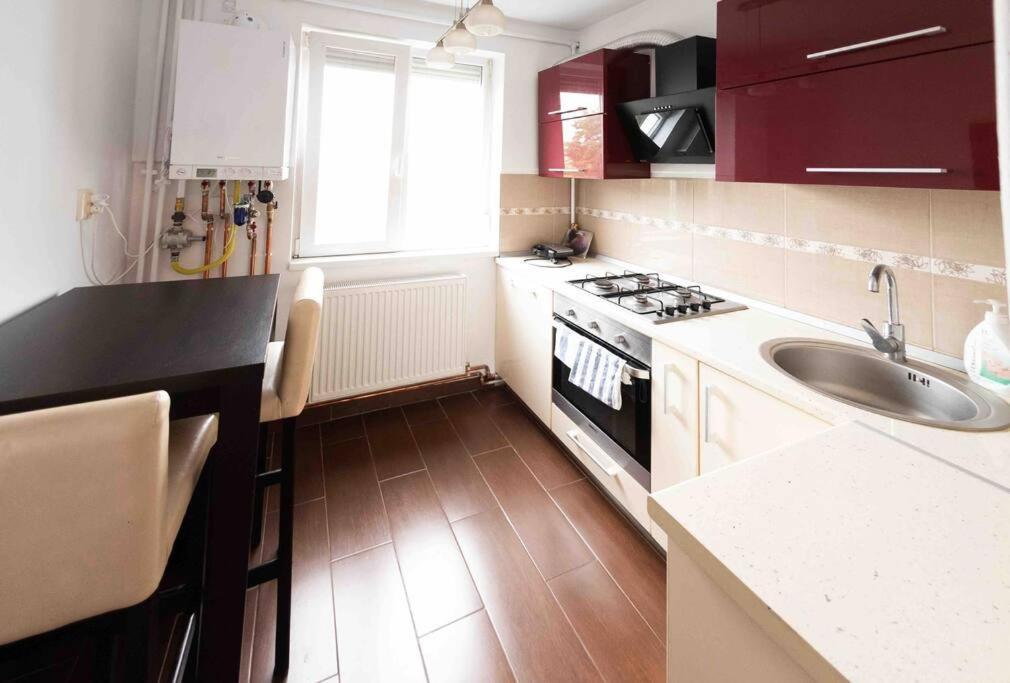 Apartament Apartament Timișoara Zewnętrze zdjęcie